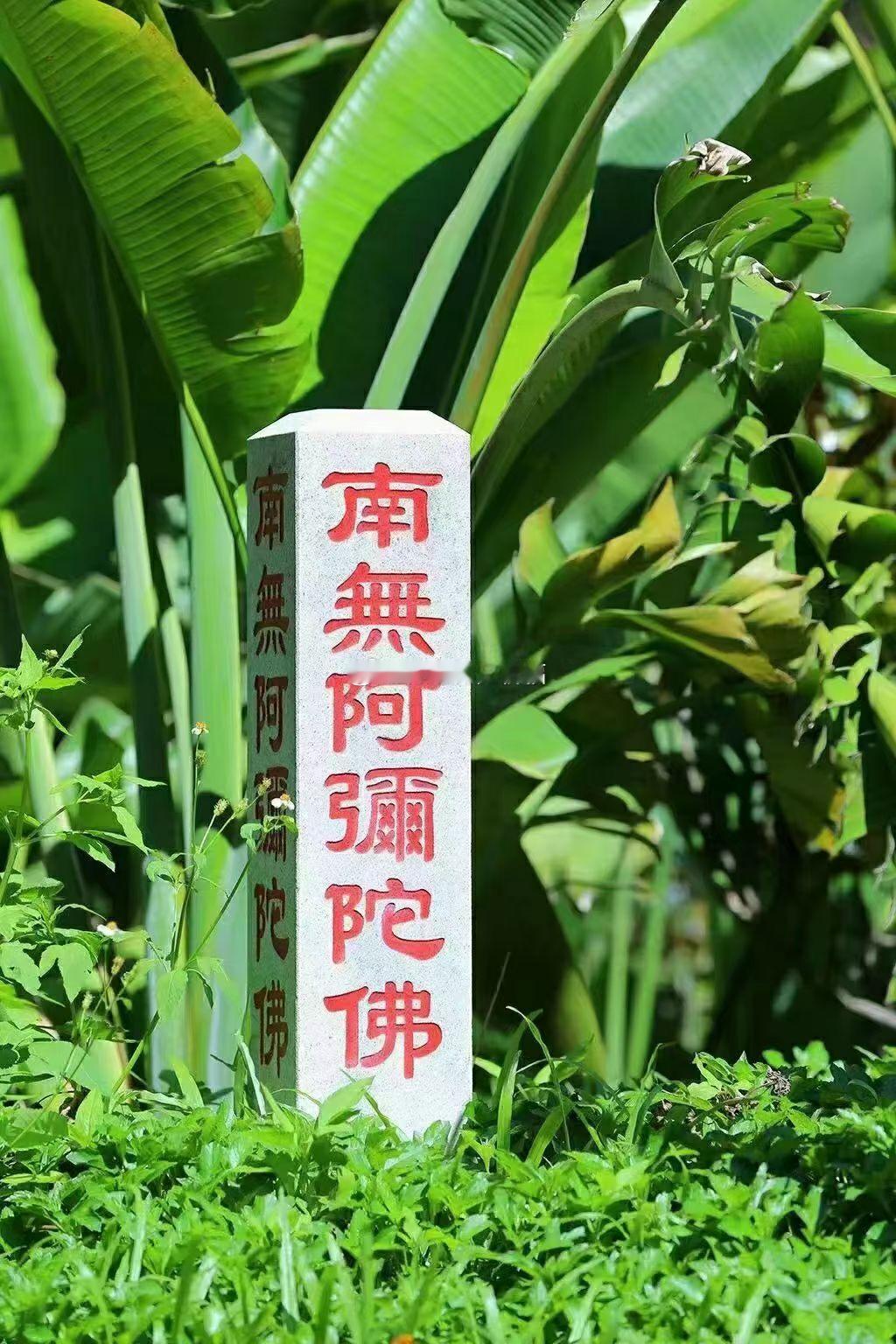 你福报深厚，却未曾大富大贵，不必心生困惑纠结。是你的福报转化成了健康的身体、平安