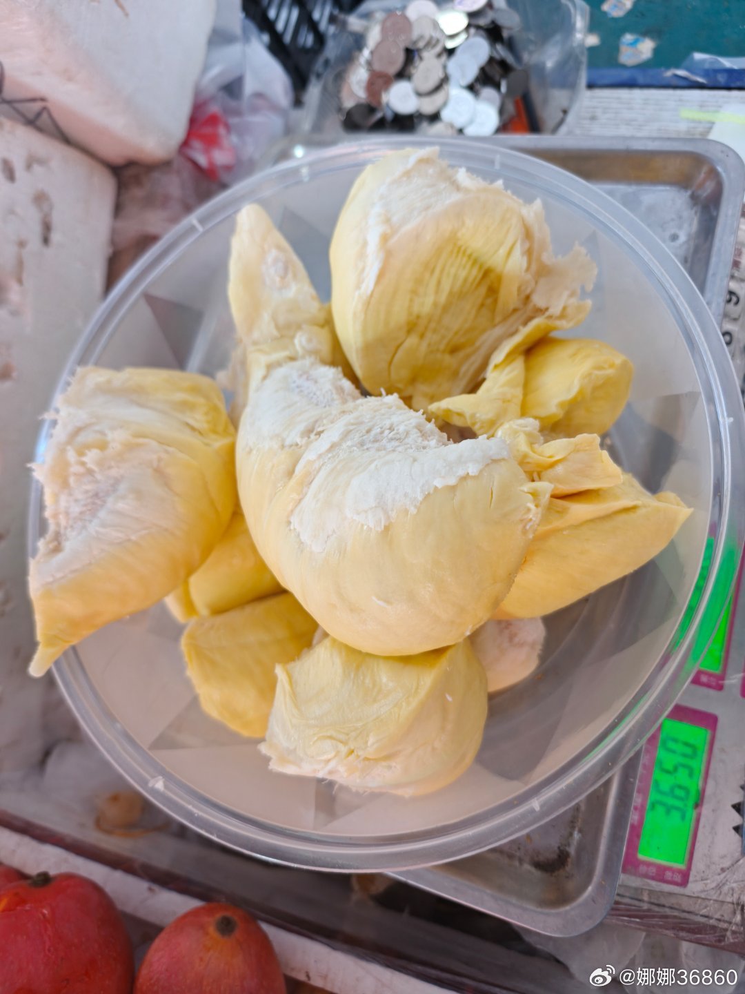 我嘞个豆豆豆豆，我又开到报恩榴莲了，这榴莲随我，胖嘟嘟圆滚滚皮薄馅大，185开出