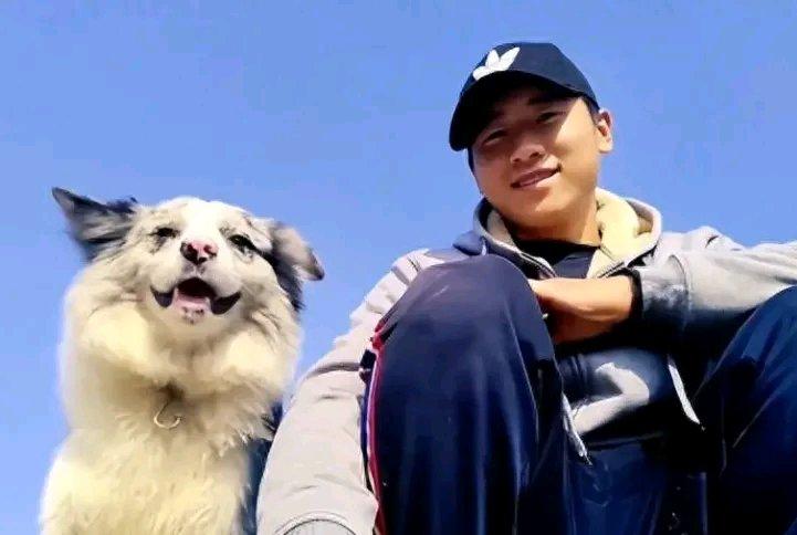 百万粉丝的网红边牧“锄头”被偷宰杀这事太让人痛心了。5月11日，主人郭先生在国外