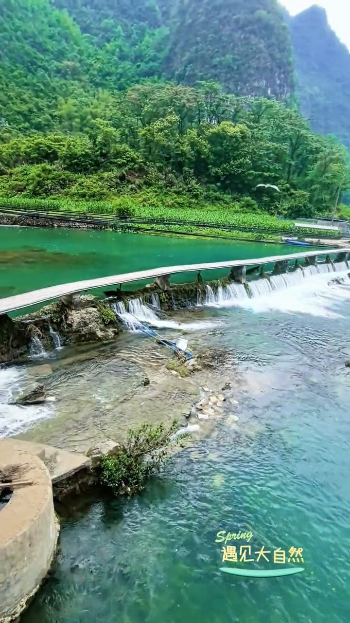 都安县大兴镇六娘海菜花观景桥赏景。
遇见大自然。