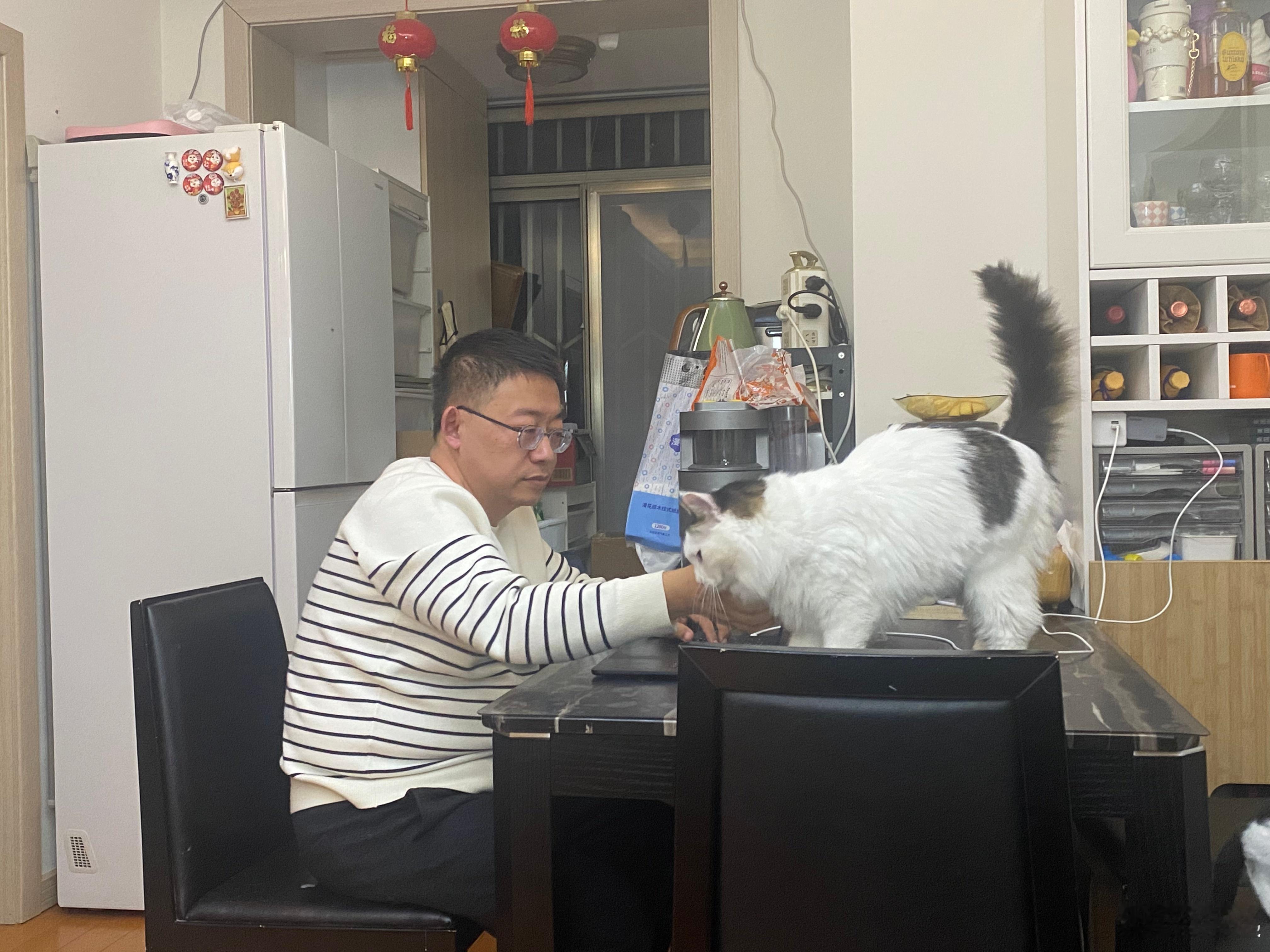 工作中的地基与来回溜达且对笔记本好奇的🐱主子 ～另，小八已经用牙齿和图五的位置