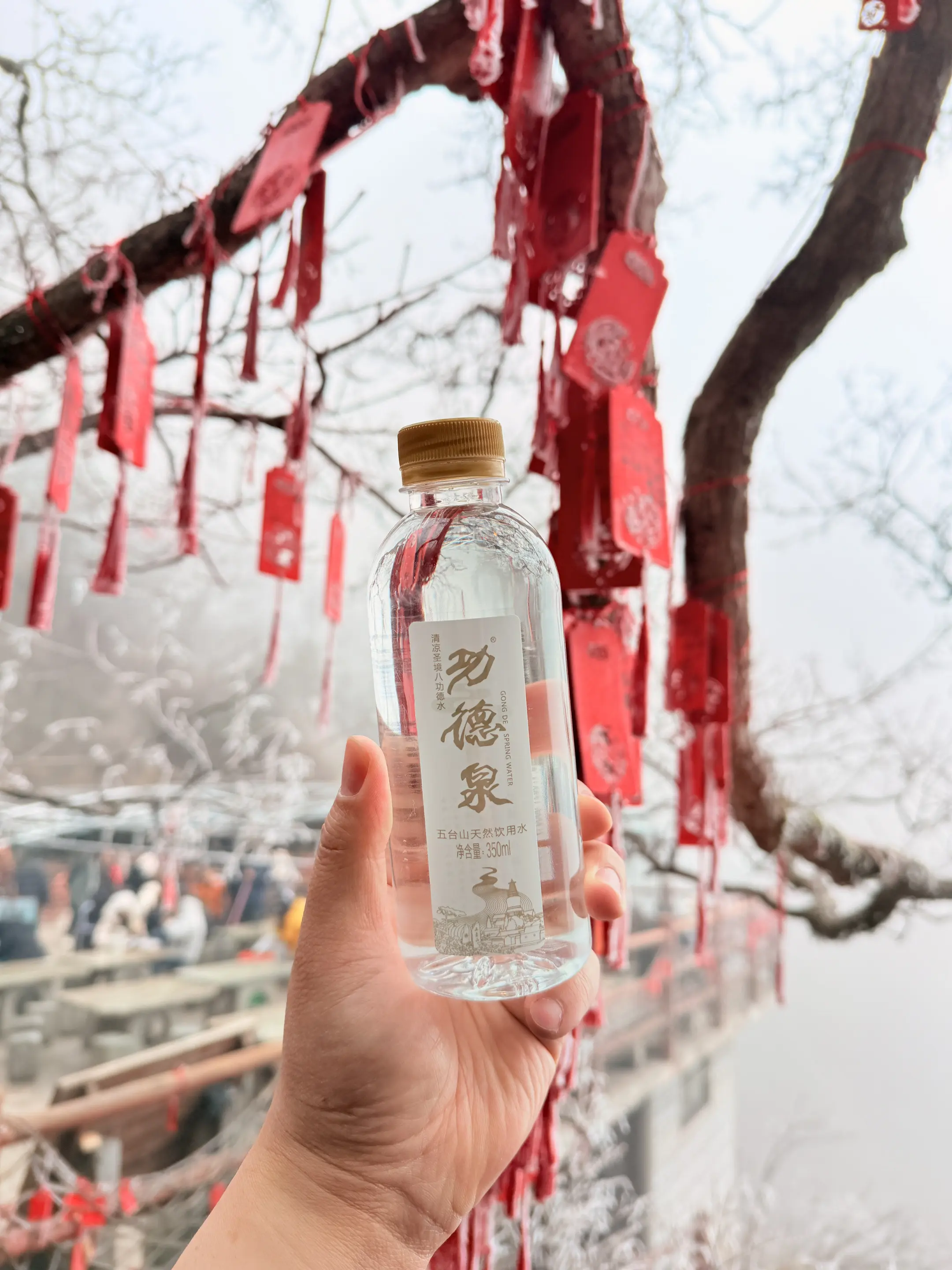 五台山是一个神圣的地方， 那么八功德泉水也是一个神圣的山泉水。