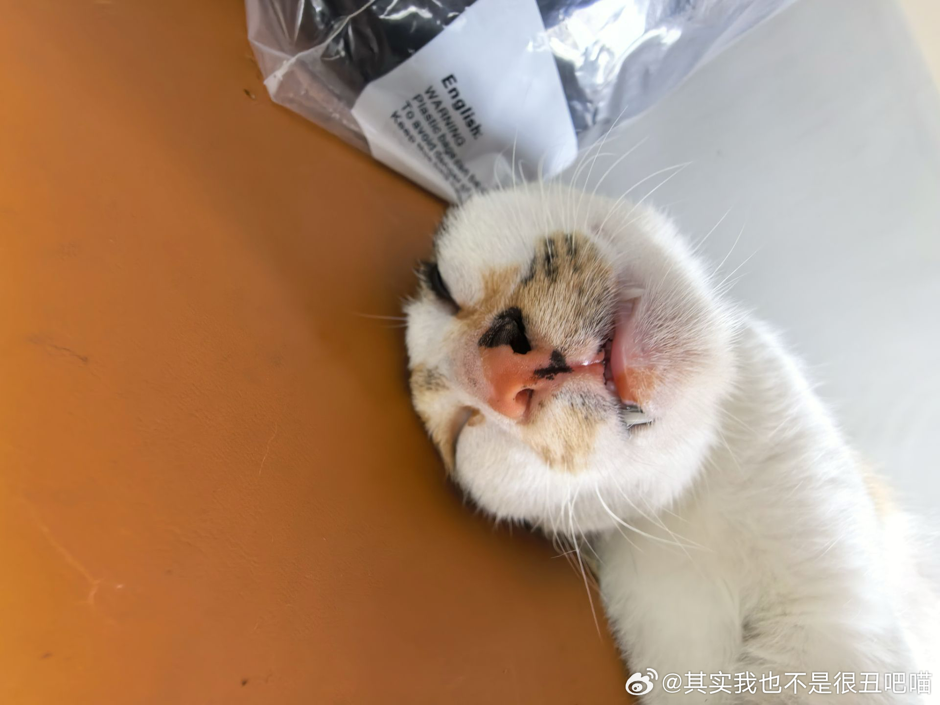 49216【丑猫】淡淡的…就这样流口水 