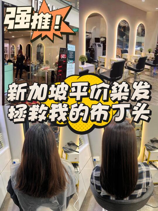 🇸🇬新加坡平价染发拯救我的布丁头