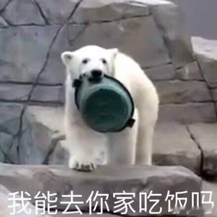 留条博姐妹们有需要的找文盖楼唠嗑（言情） ​ ​​​