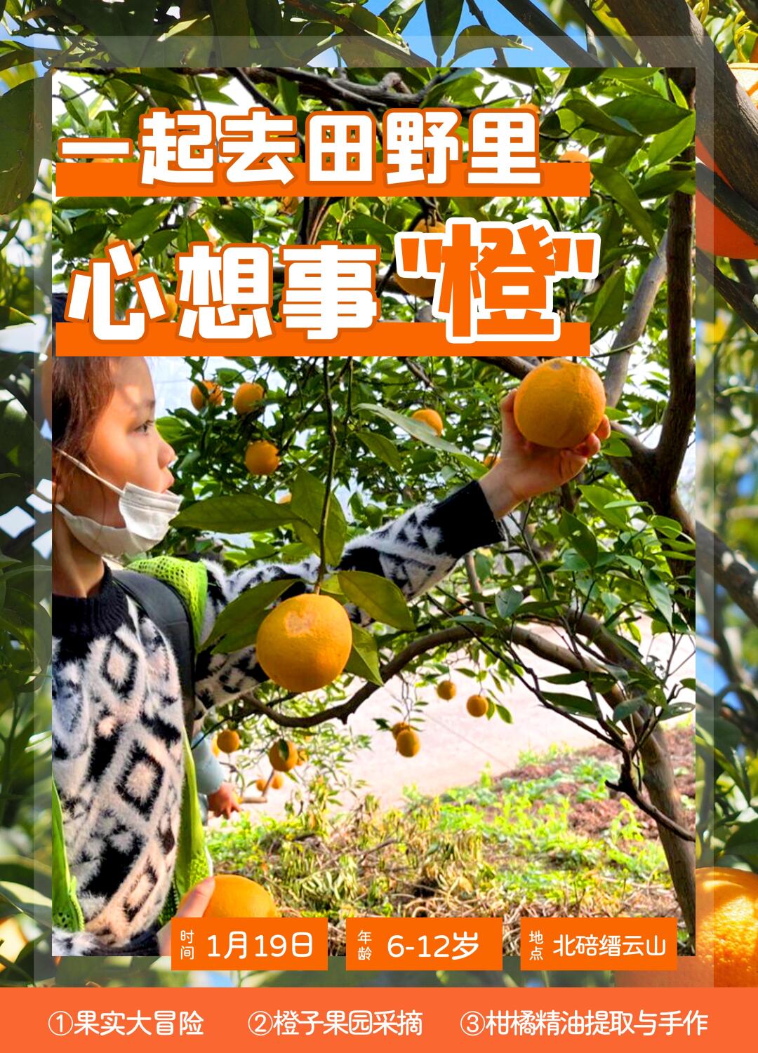 活动招募｜一起去田野里心想事“橙”吧