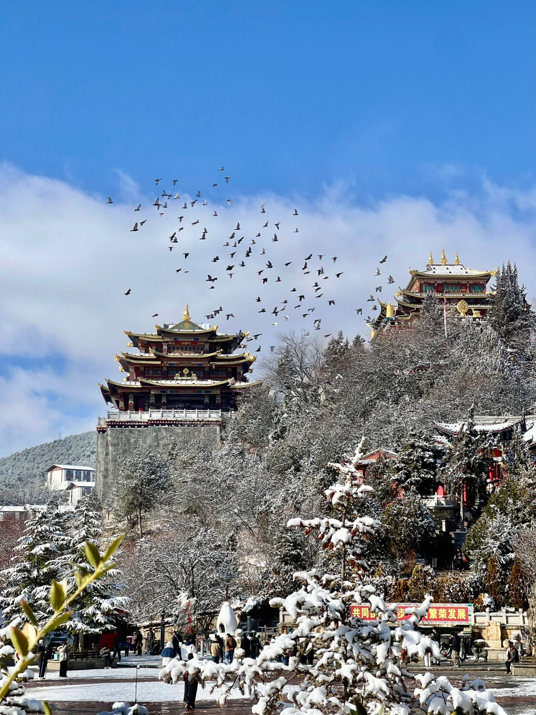 Live图❄️暴雪后的香格里拉像极了人间天堂