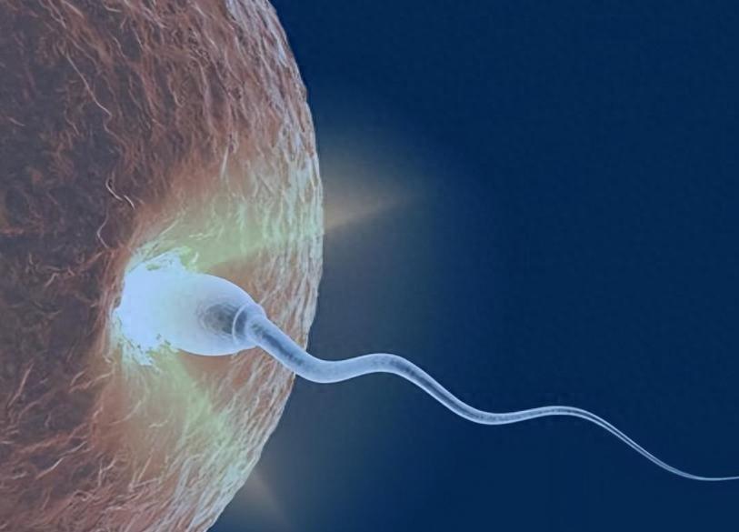 男性长期禁欲，精子只产不排，最后会怎样？医生：或有4大后果

长期禁欲这件事，被