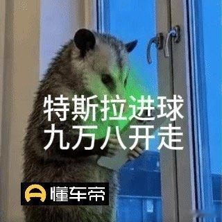所有人看球只顾追随梅西，我专注蹲守懂车帝隐藏购车福利。只要球员名字带有特、斯、拉