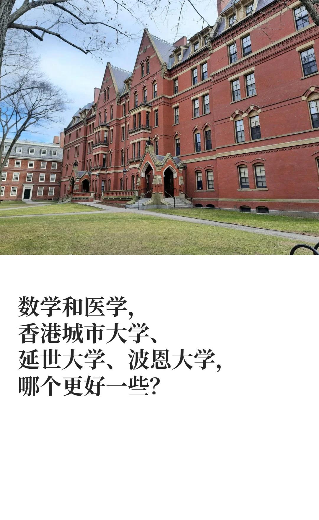 港城、延世大学和波恩大学，哪个更好一些？
香港城市大学 延世大学 波恩大学
波恩