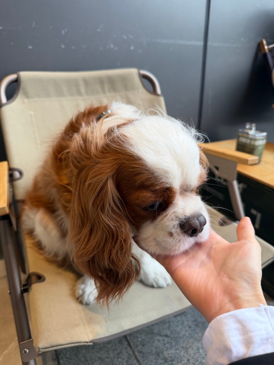 深圳周末日记｜喝咖啡普拉提☕️ 