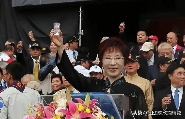 洪秀柱在接受媒体采访时抛出一句极具分量的话：“如果台湾不是大陆的领土，清朝怎么能