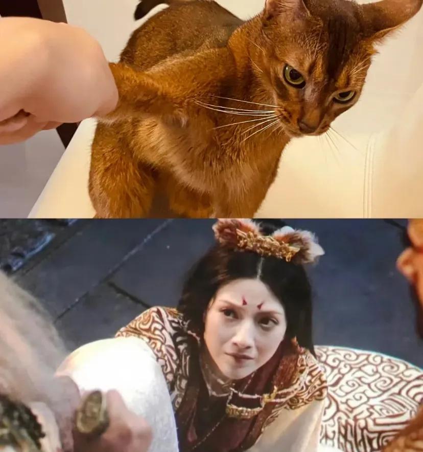 封神大概什么时候下映?
感觉现在就是一天1亿今天已经9亿了
30亿的话.……估计