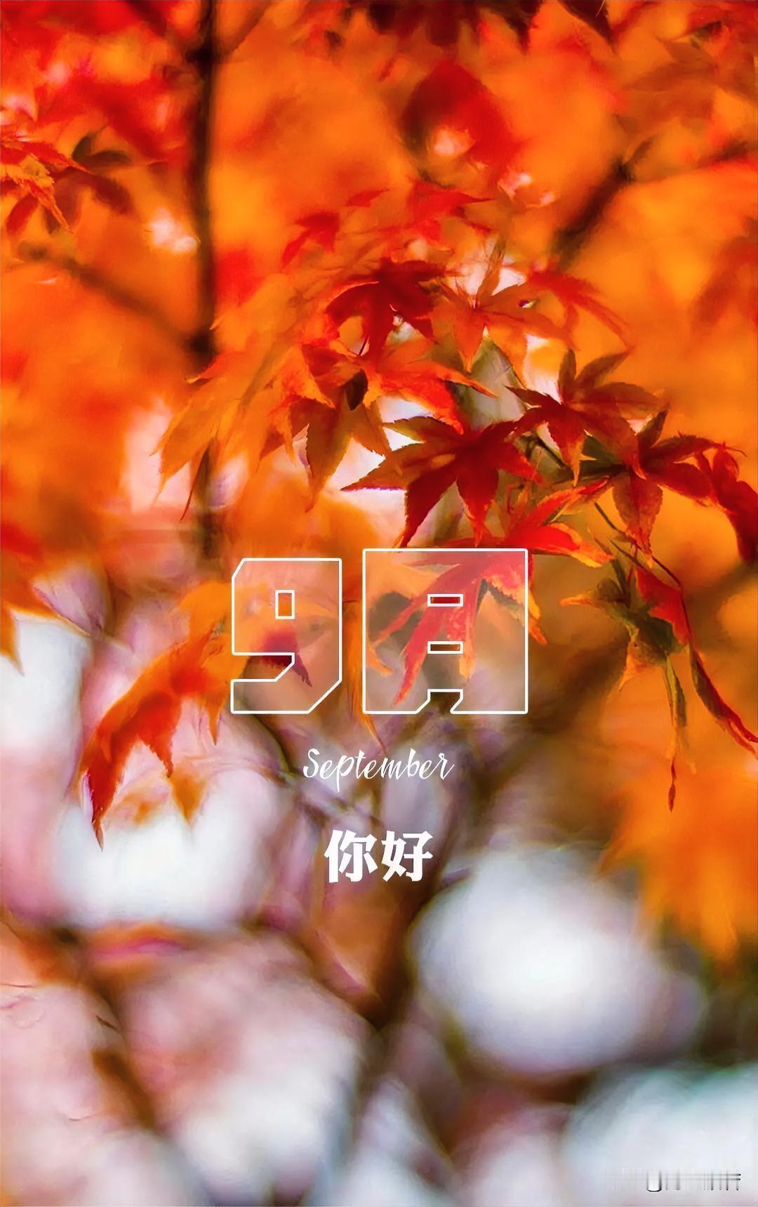 九月

               ——海之般若

天空多高远
看白云和鸟儿在
