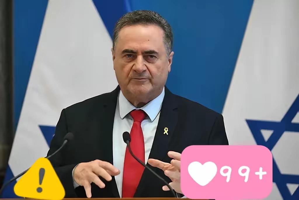 快讯 快讯
以色列国防部长宣布了
以色列国防部长卡茨11月7日通过社交媒体发布消