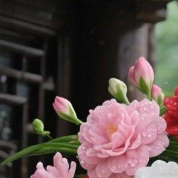 生活压力大了，有时候也要停一下，放松一下。人总要有休息的时候，才能继续我们的旅程