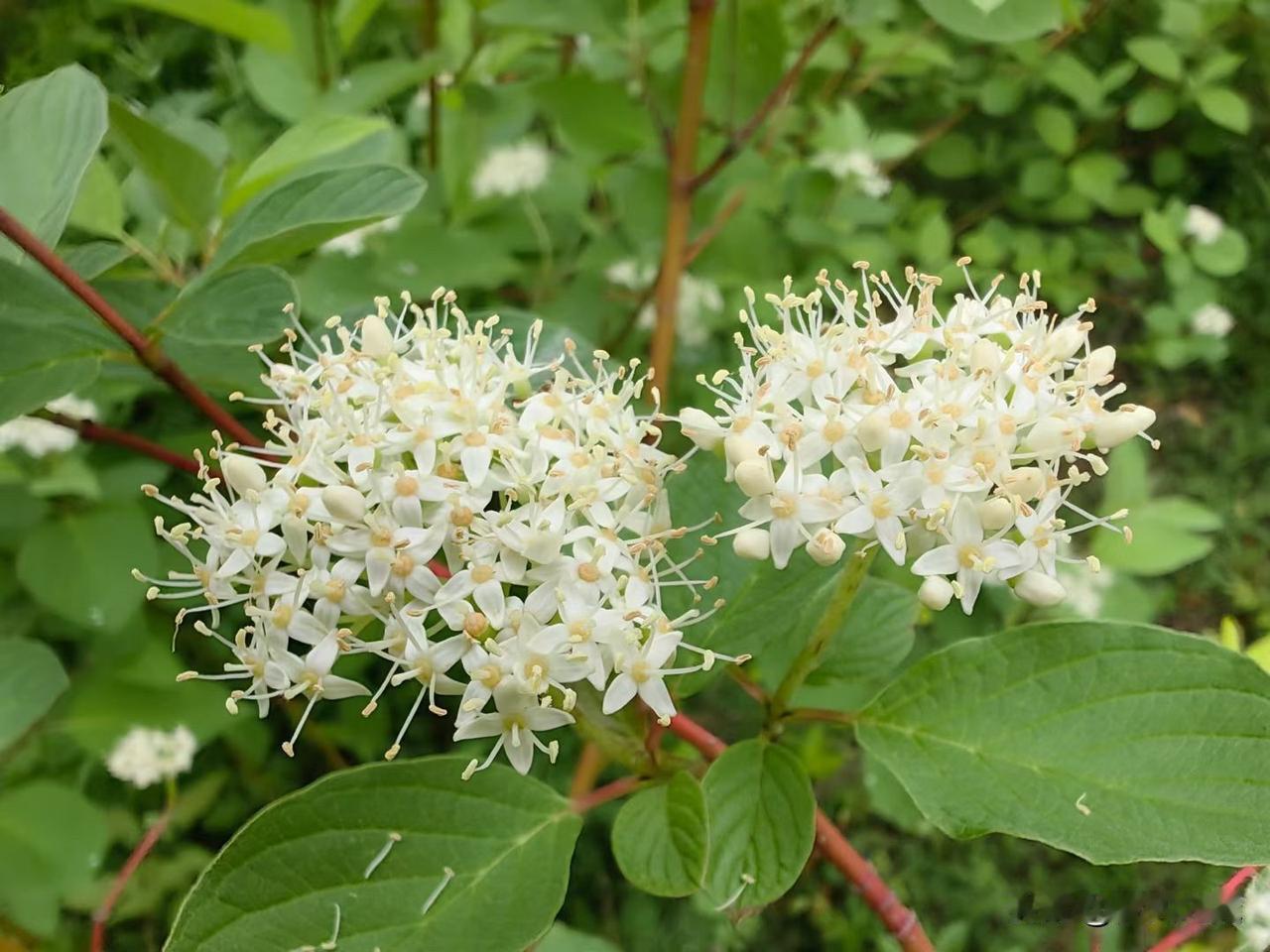 【小对联】
上：……？
下：风情。