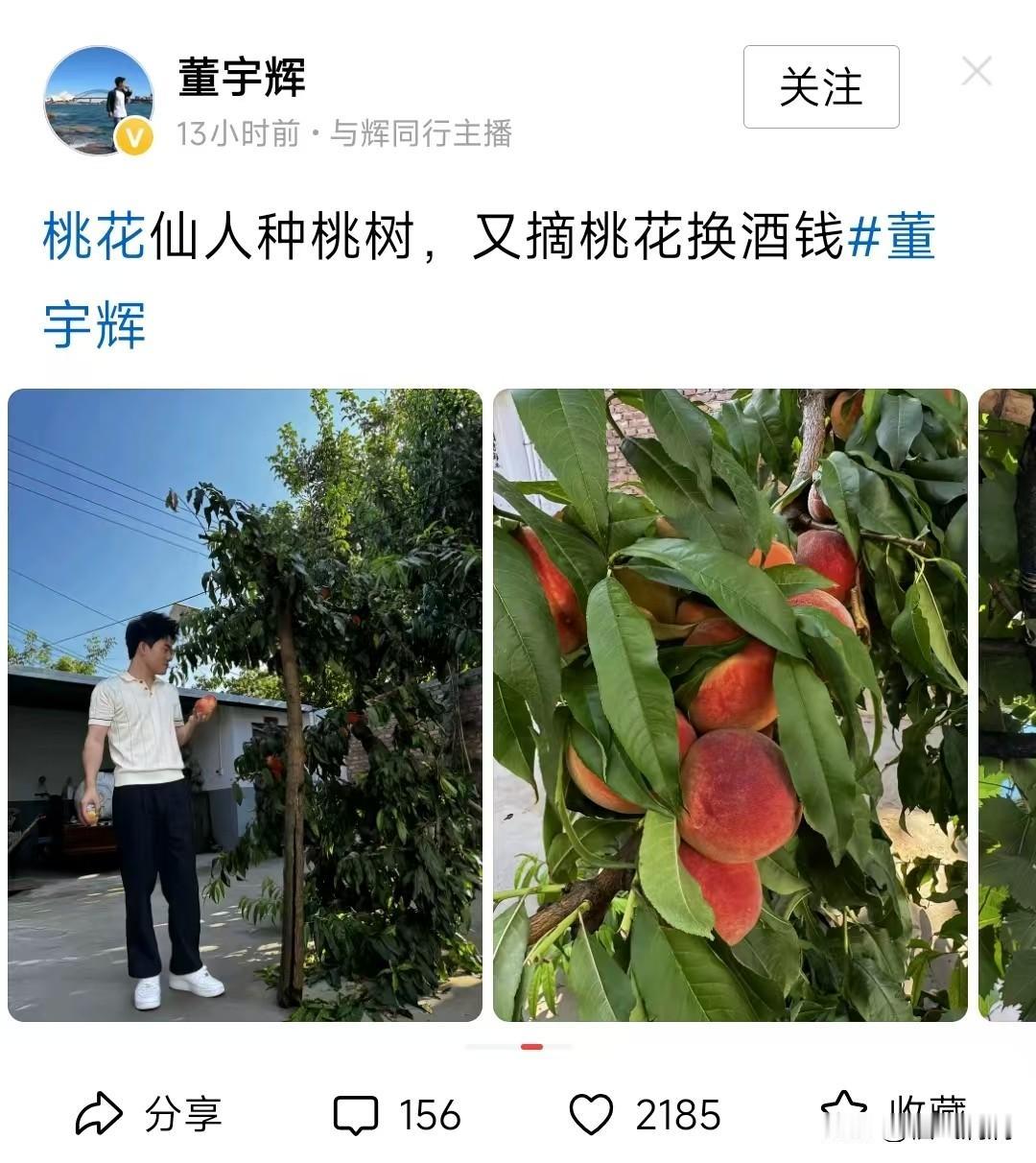 董宇辉一发九宫格，
评论区直接变大型“侦破”现场。
大家不关心他吃了啥、看了啥，