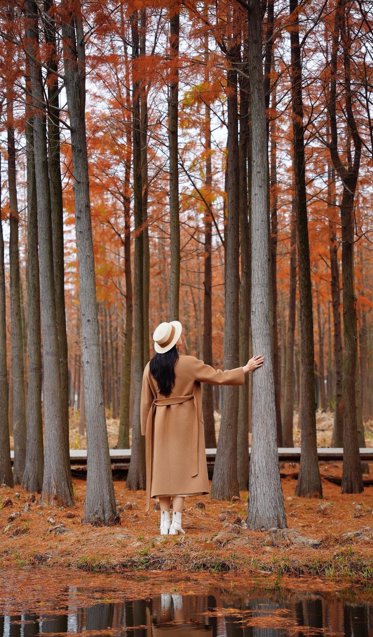 南昌，是一座被时间「折叠」的城市。
登一座阁，能回溯千年的文采风流；
转一条街，