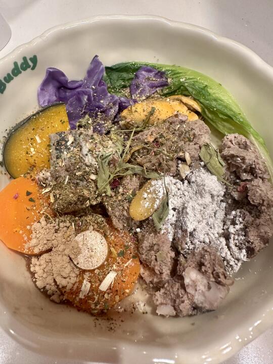 小狗光盘行动