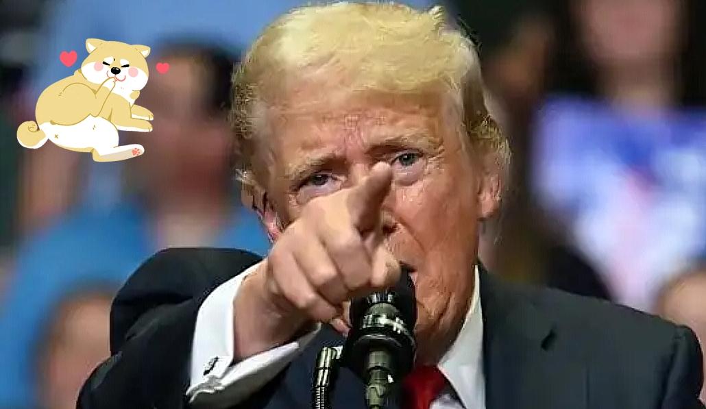 听说特朗普喊要“炸莫斯科”“炸北京”，这事直接在网上炸了锅。

原来是CNN曝光
