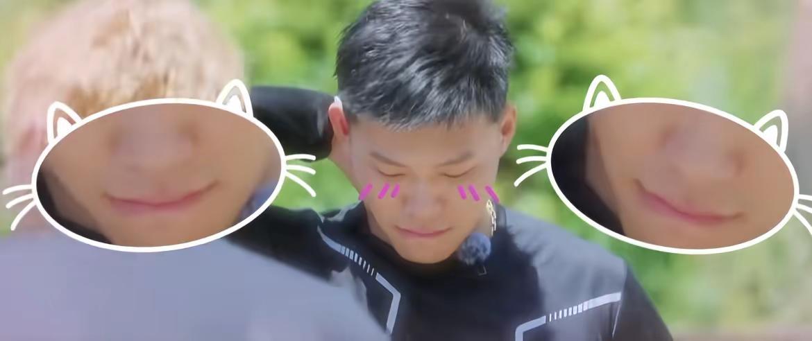 这只小猫很萌