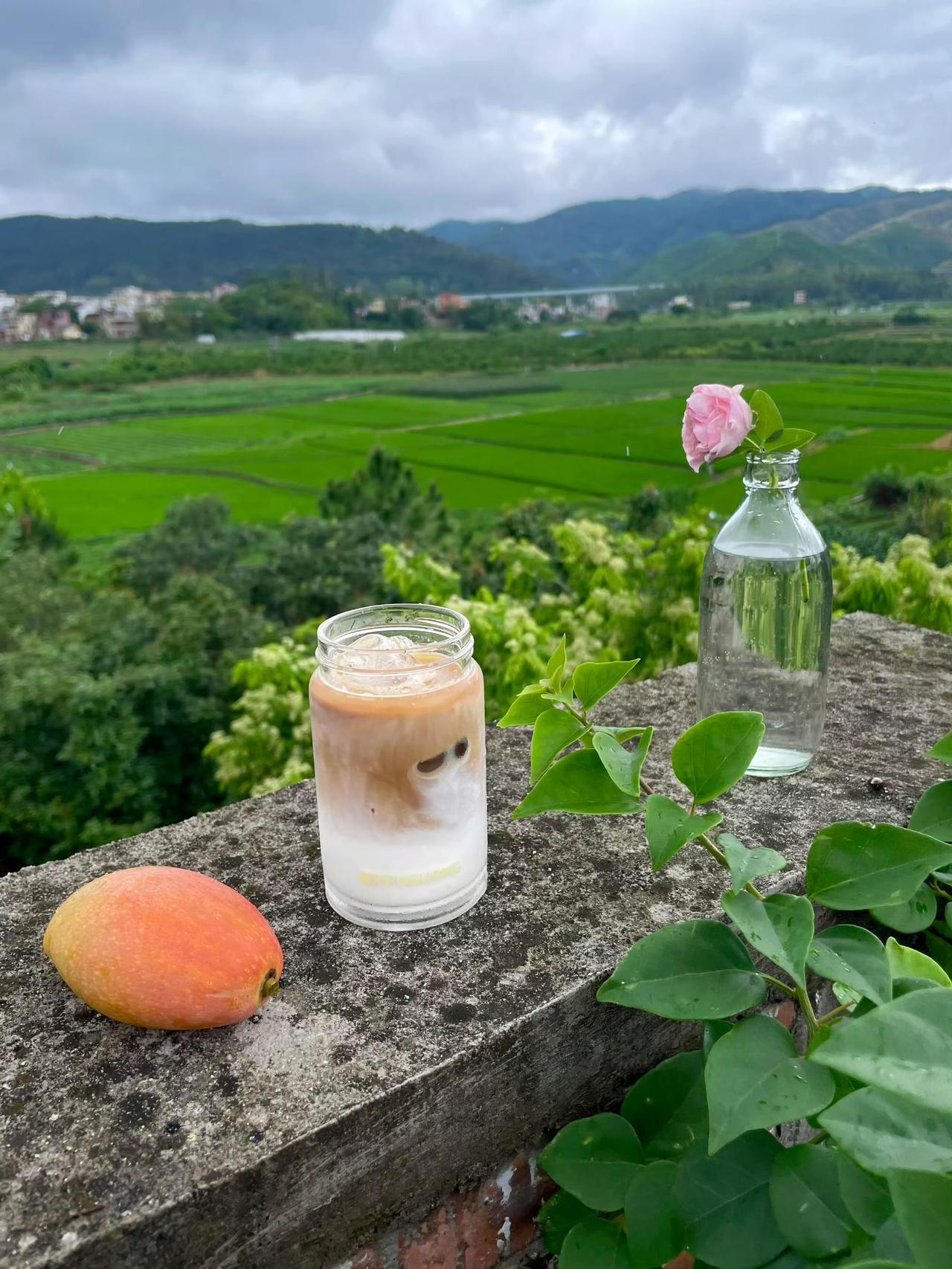 “一个人能观察落叶，鲜花，从细微处欣赏一切， 生活就不能把他怎么样