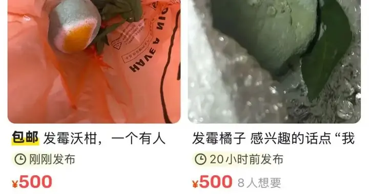 “发霉橘子”标价500元一个，什么人在买？回应来了