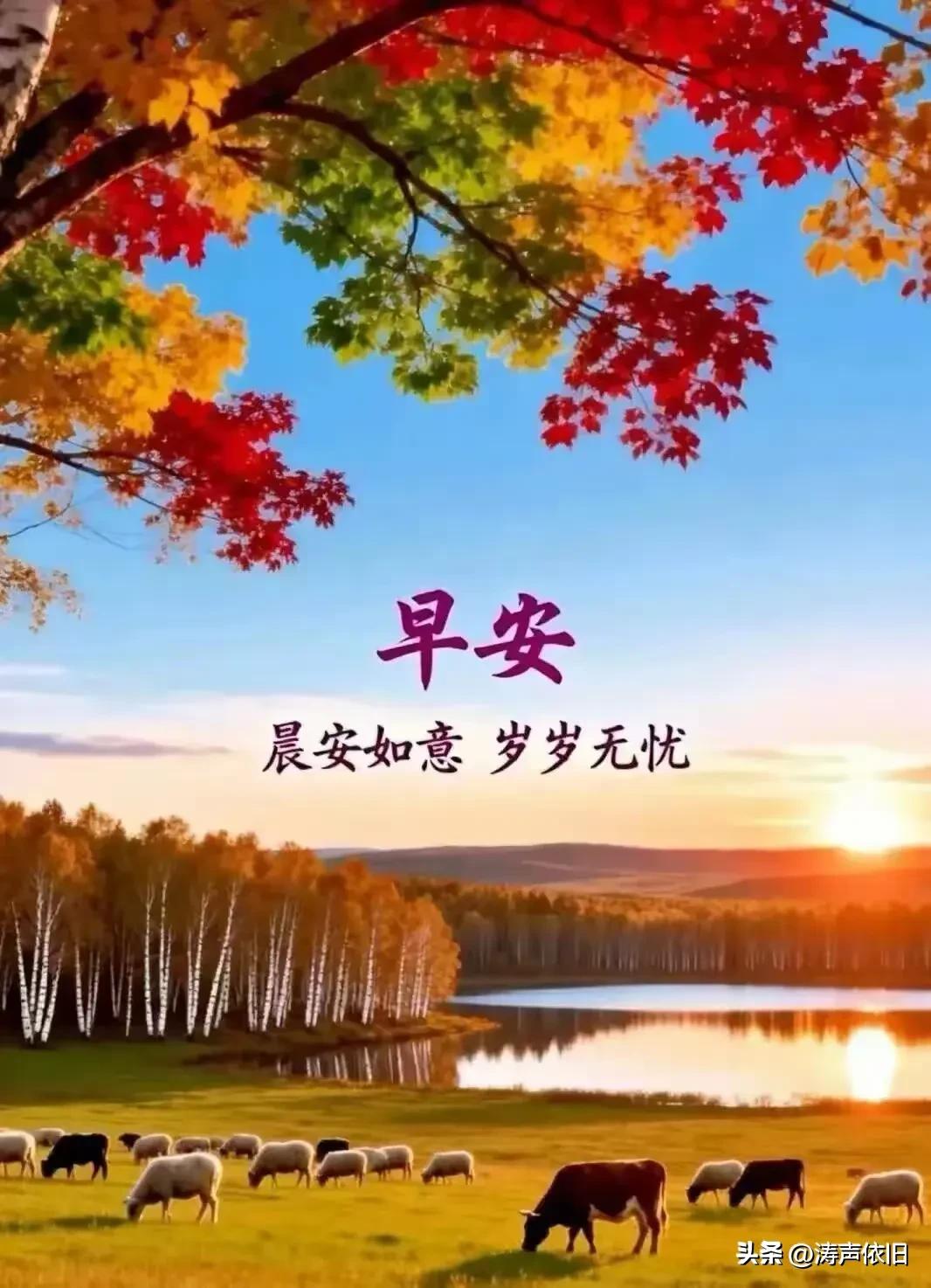 《鹧鸪天·暮秋寄祝》

秋风解我寸心长，
漫送清柔带晚凉。
一念西风牵远念，
千