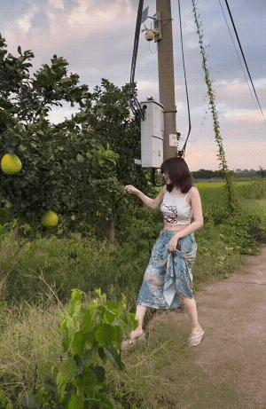 自己家有柚子，干嘛还要去摘别人家的呢[捂脸][捂脸][捂脸]