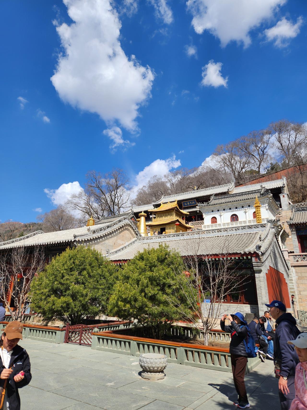 街道两旁的柳树抽出了嫩绿的新芽，在微风中轻轻摇曳，仿佛是在与天空中的云朵轻声低语