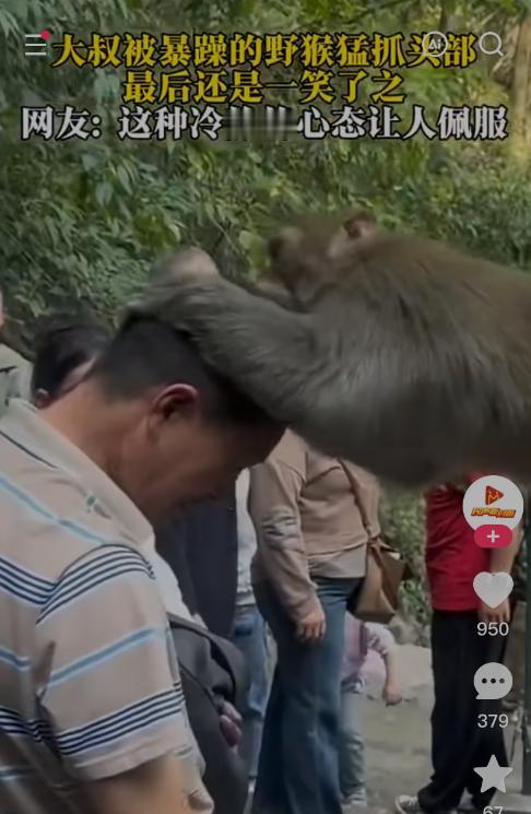 大叔被猴用俩爪子抱头一顿薅毛，估计大叔的脸都被划出血痕了。这个猴子死抓着人家的头
