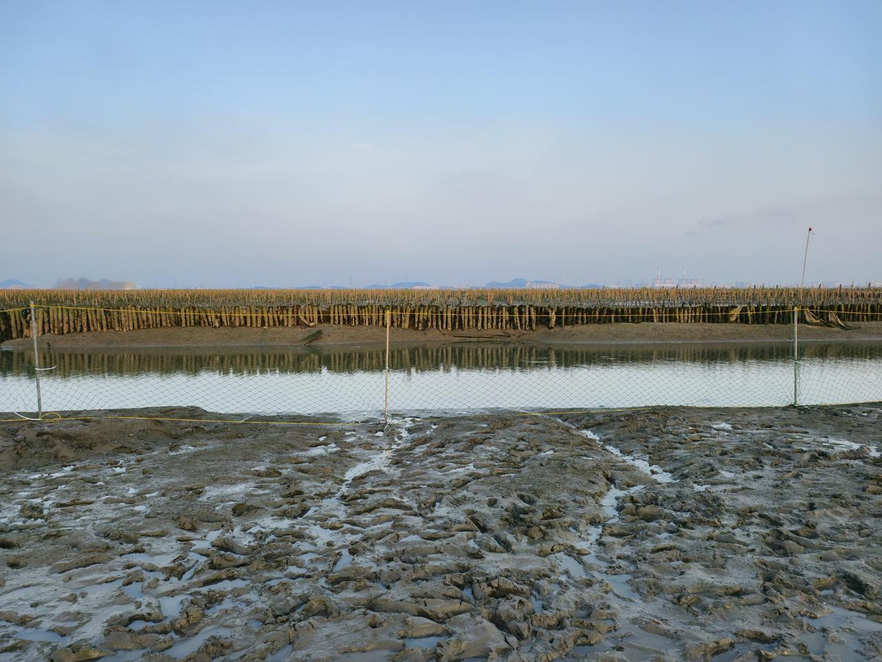 电白西墩村确实是赶海宝藏地，超适合带娃体验！就像茂名其他赶海地一样，这里能让孩子