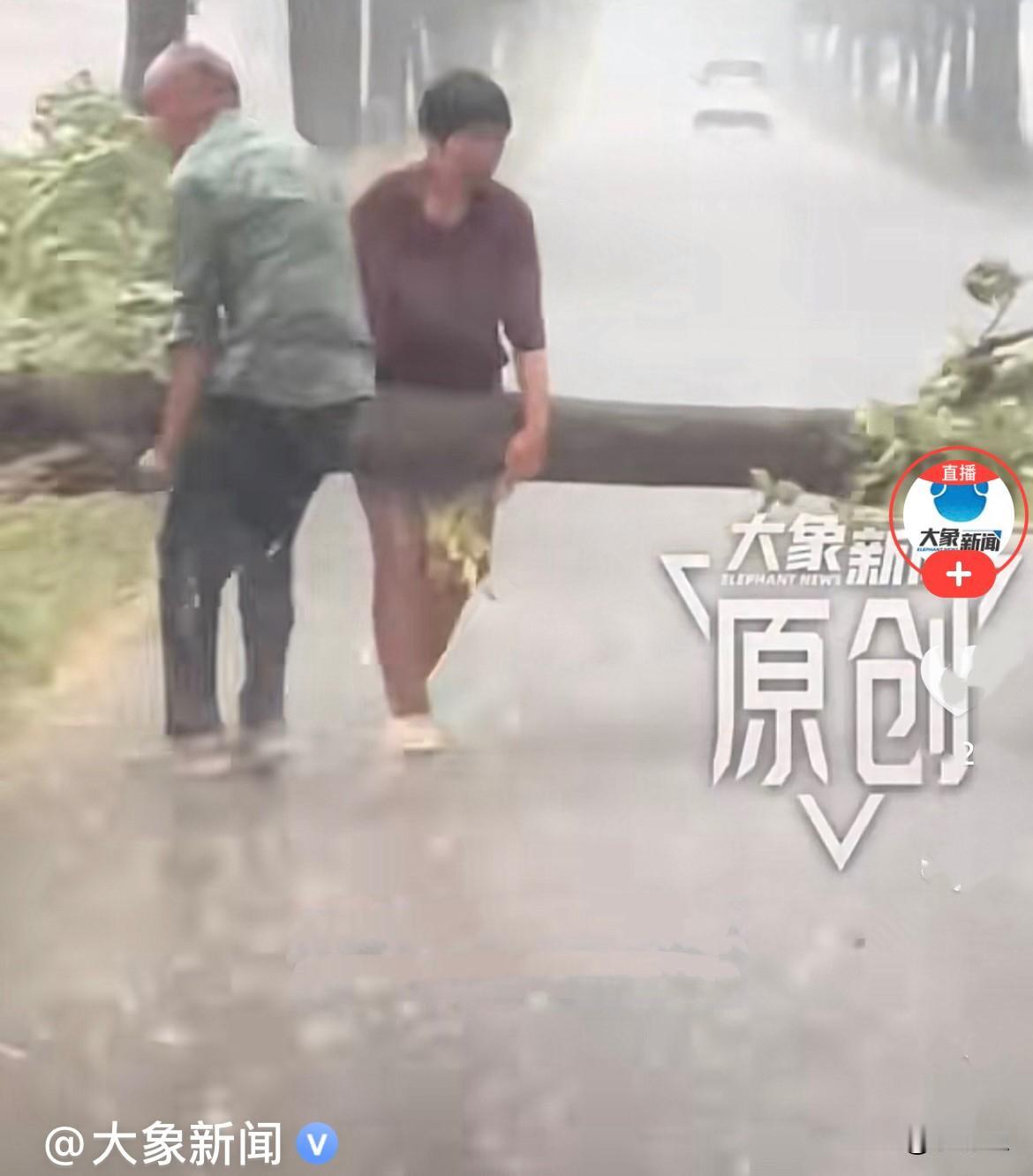 近日，河南驻马店一场暴雨过后，街头一片狼藉。狂风将路边的大树拦腰折断，粗壮沉重的