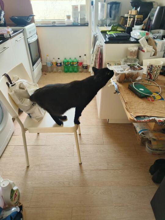 外八