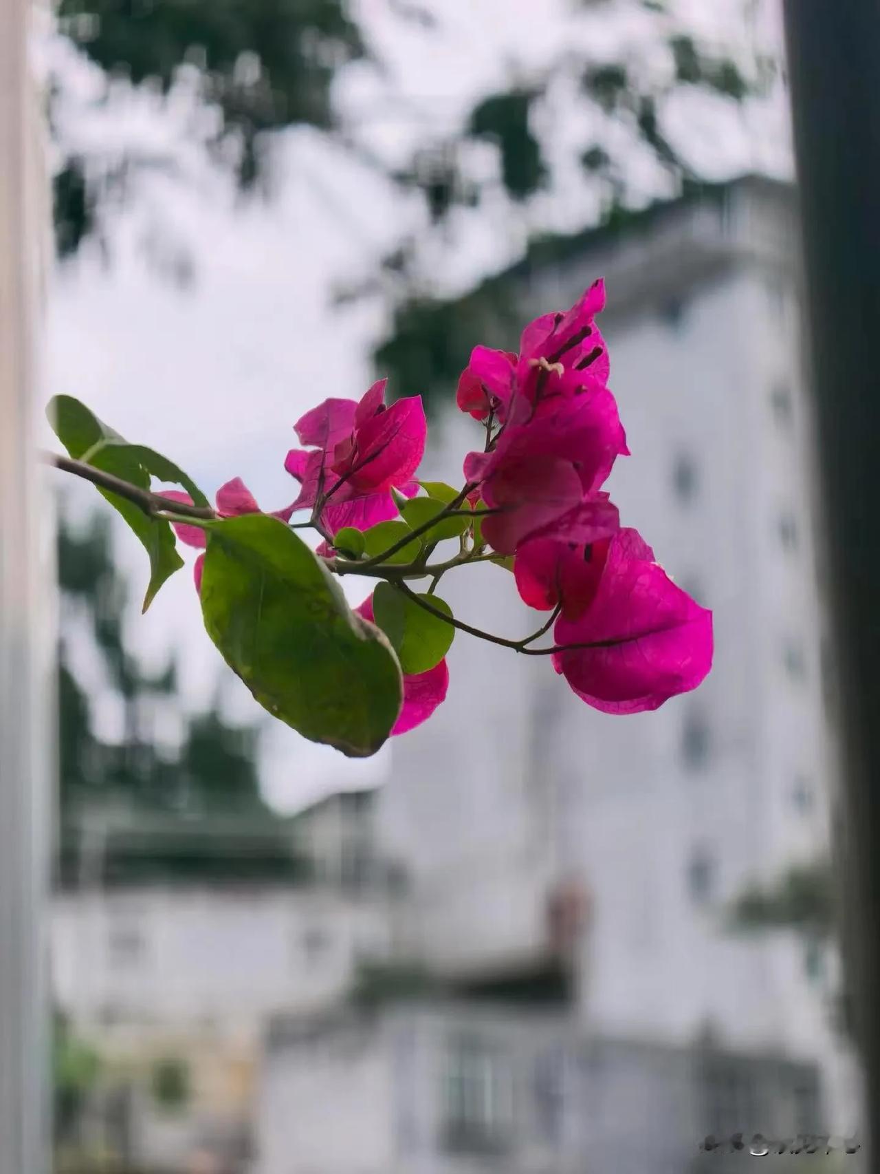 性学家说：“性欲不是刚需，不吃饭会死，不喝水会死，但是如果一个人没有男欢女爱，他