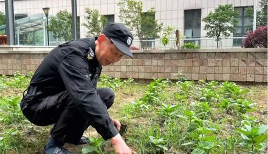 昨天新来的保安干了一天，今天早上不干了，工资也不要，直接收拾好行李跑路了。昨天他