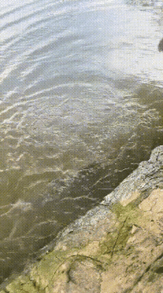 脑血栓前兆