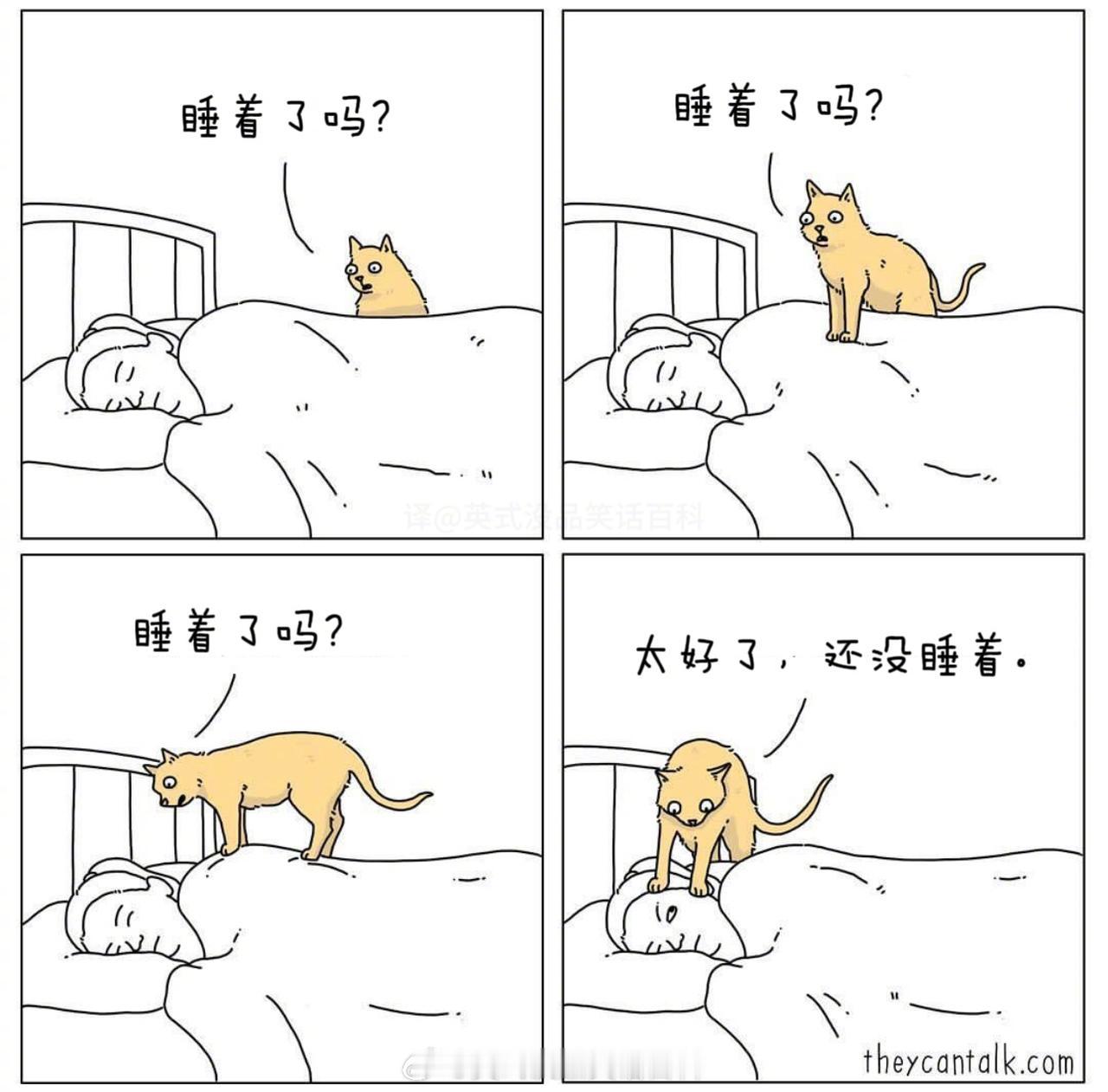 睡着了吗？