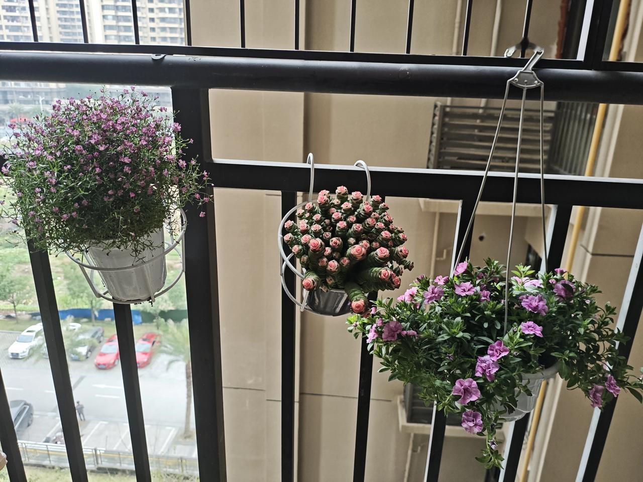 生活中有很多不如意的地方，随随便便摆上点花花草草，看着这些花花草草，好像生活一下