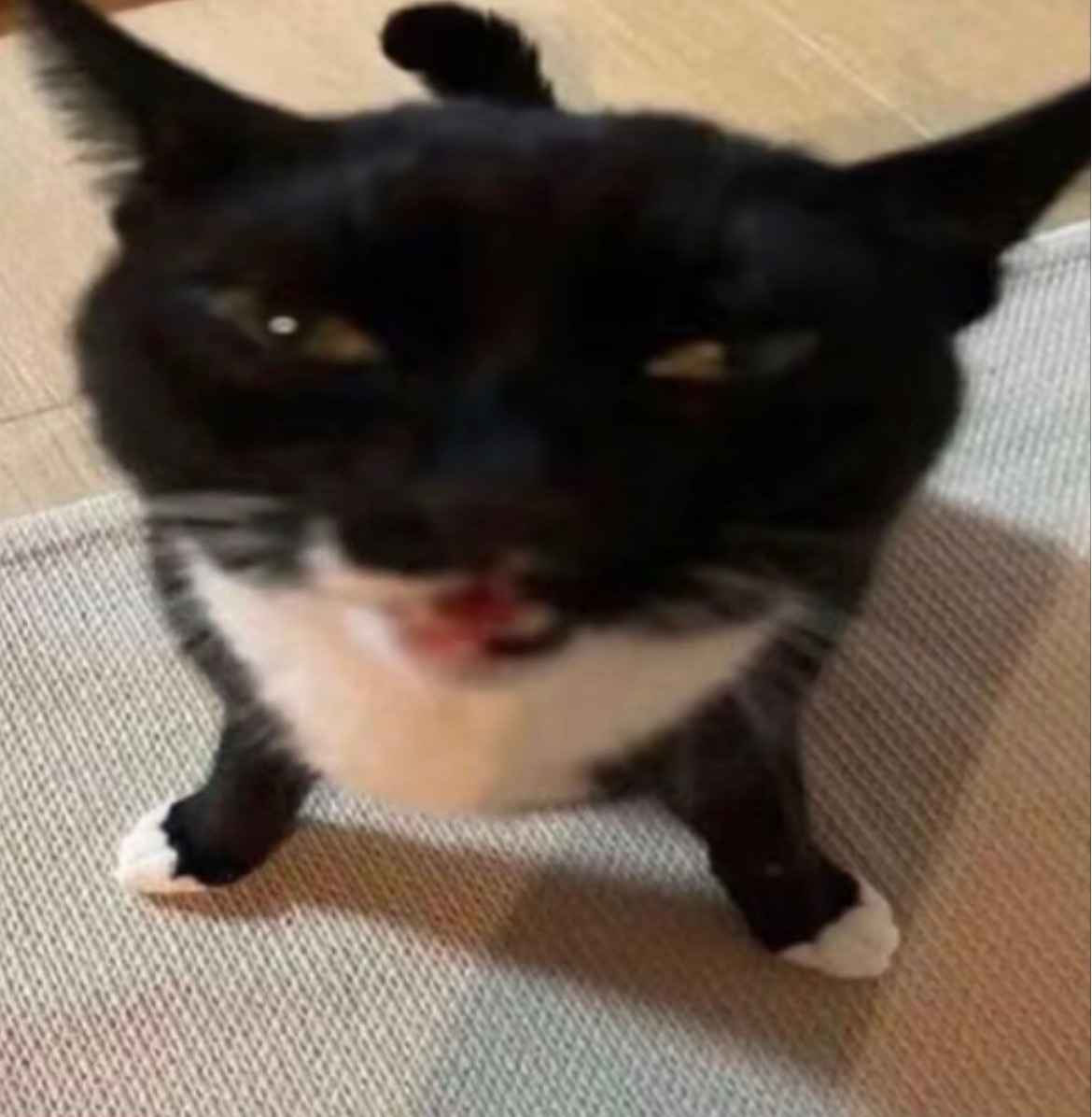 今晚有突围看 