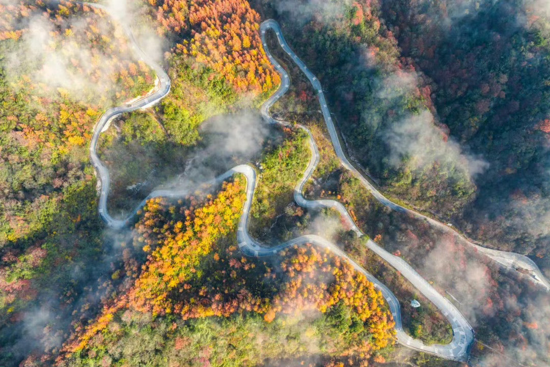 四川·光雾山，当深秋的脚步悄然而至，整座山仿佛被施了魔法，目之所及，皆是色彩的盛