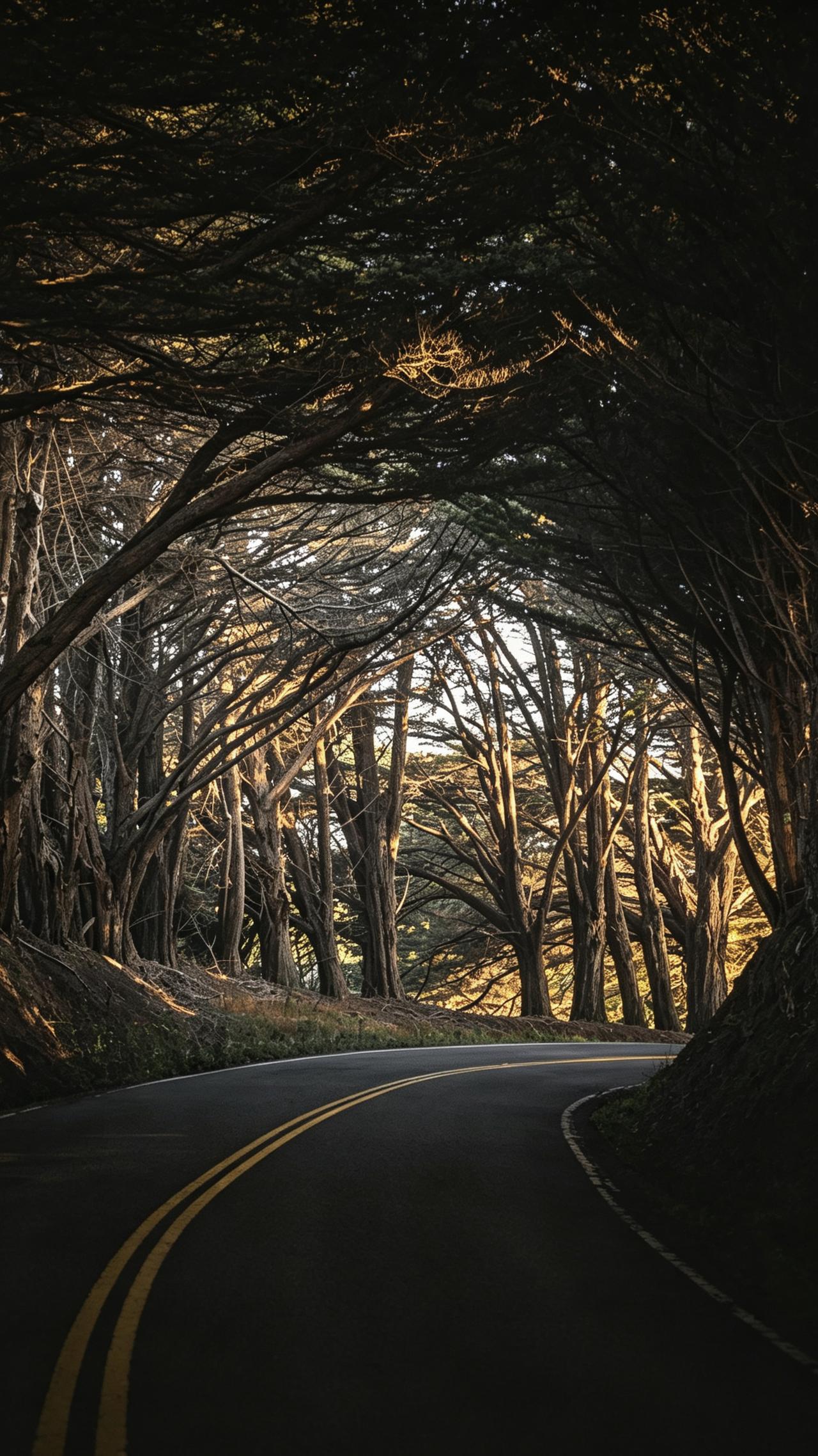 富有哲理的一段话：
“有的人爱小动物，他会把小动物当成一个生命、一个朋友、一个亲