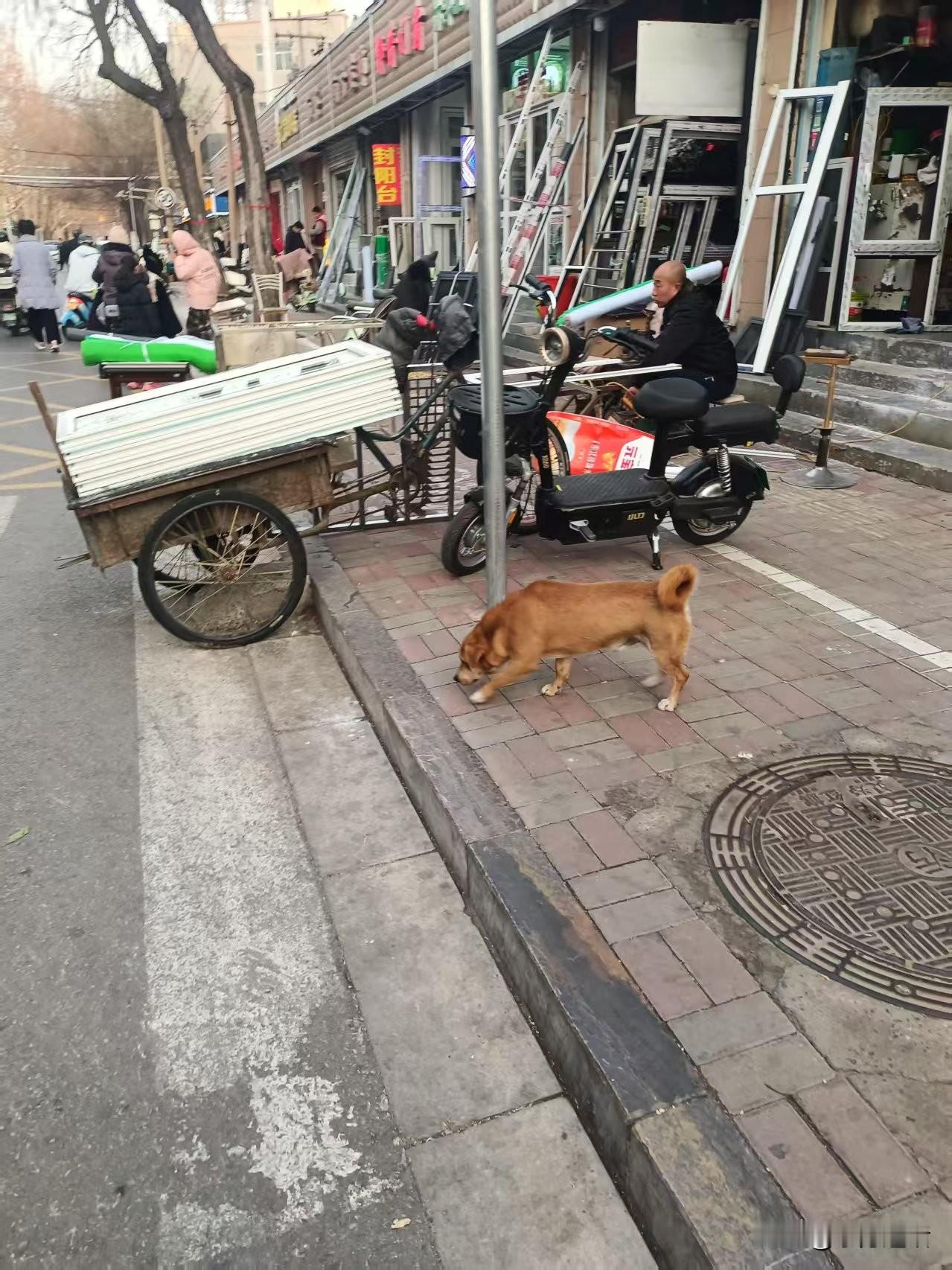 梁东方
从绿荫广场出来，带着婴儿沿着宁安路走，她先是看到了屋顶上的一只猫。看了一