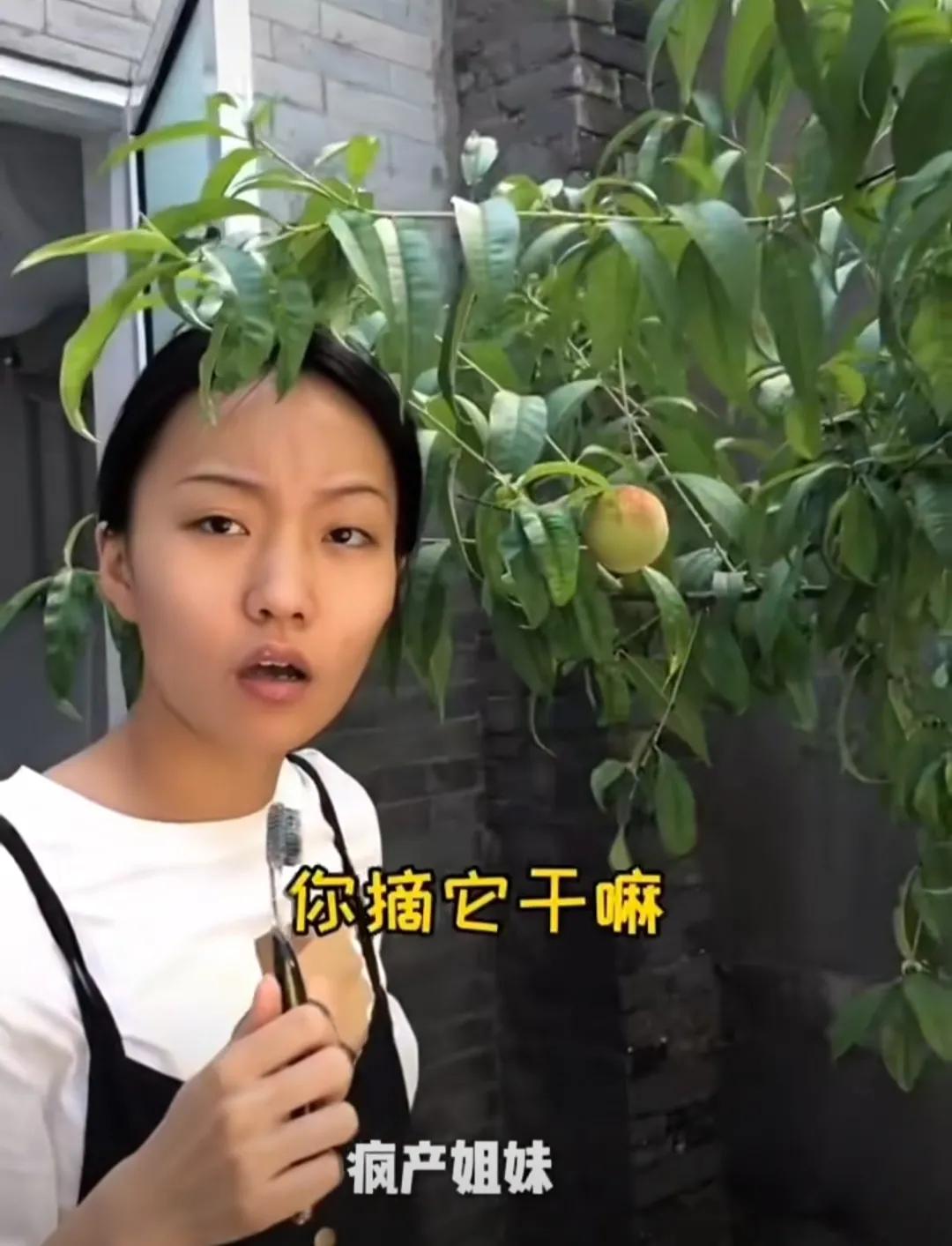 “疯产姐妹”邵雨轩回应解散原因。

一个好的作品和人物塑造是互相成就的
两人意外