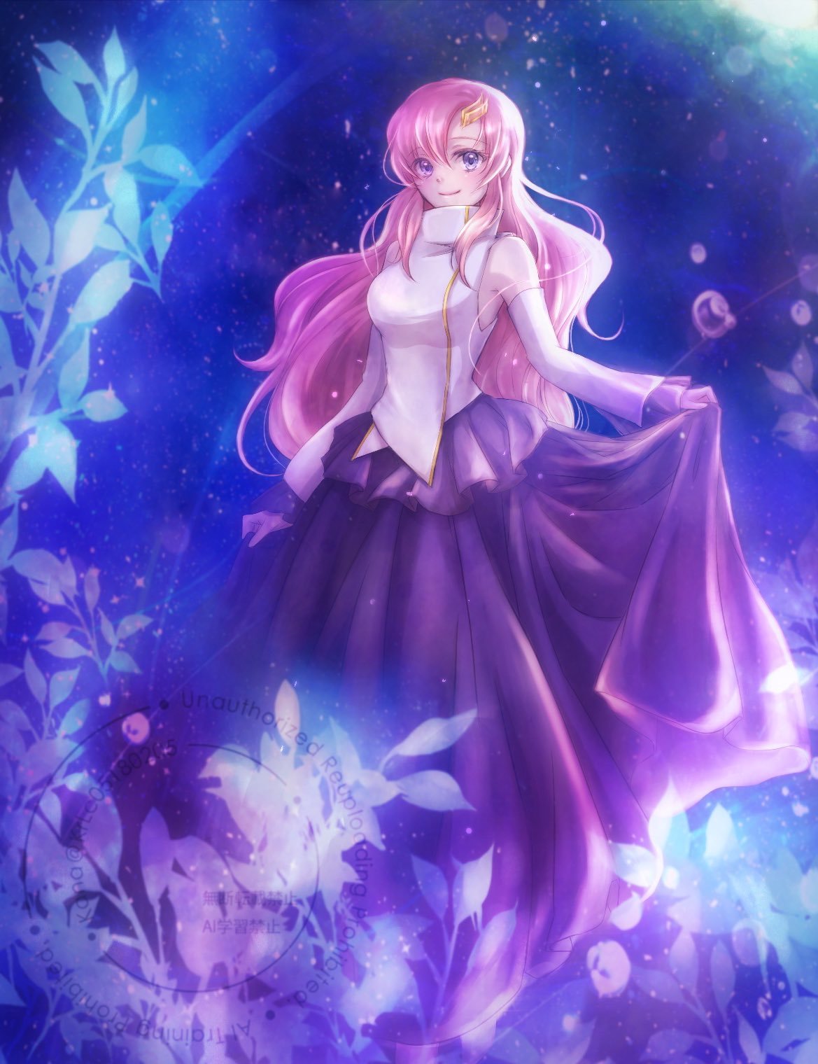 今天是拉克丝·克莱茵的生日（C.E.55/2/5）高达高达seed