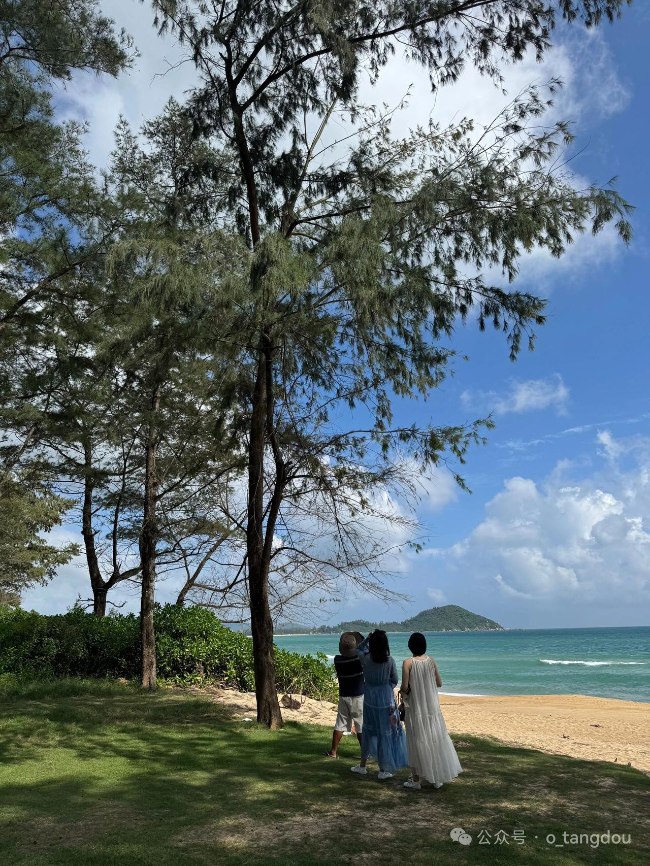 头回听王芗斋先生说"拔地欲飞"，我站那半天没动。

心想这是要飞哪儿去？

有一