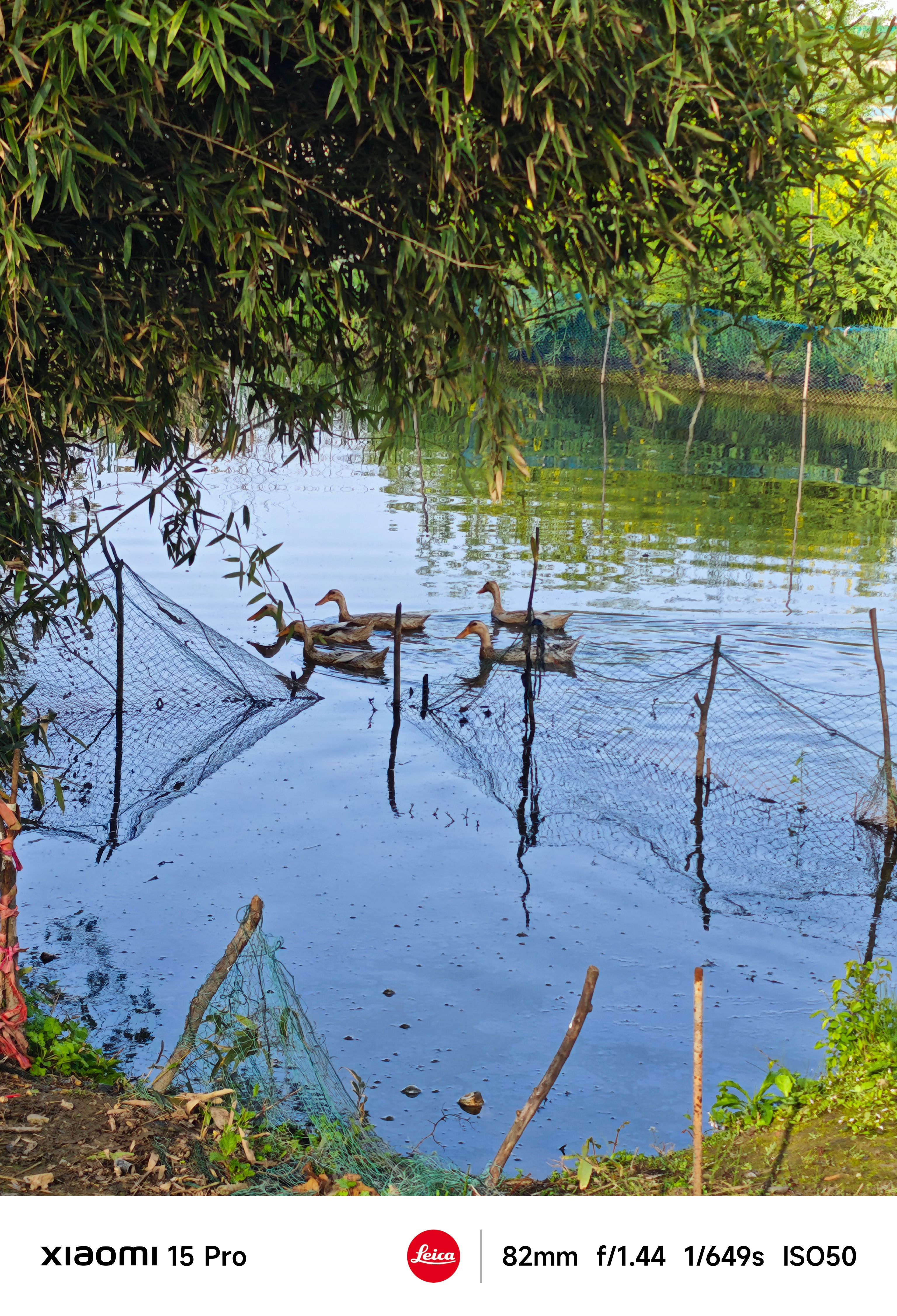 一个和尚挑水喝两个和尚抬水喝三个和尚？iPhone三款新机机模出炉