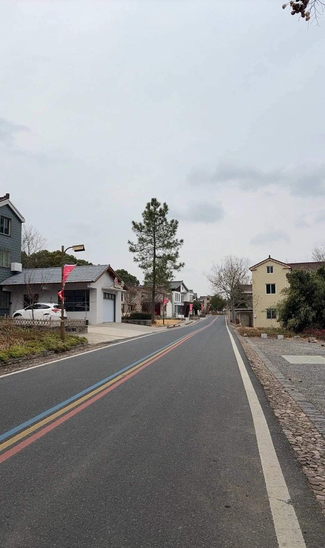 今日运势：乙巳年戊寅月己酉日  2025.2.9日

鼠：小吉平安顺利
牛：整体