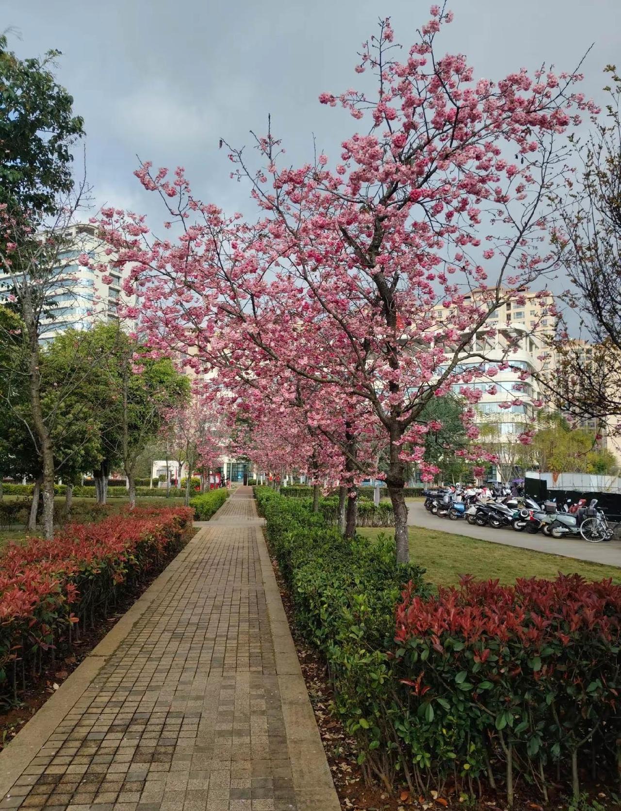 云南这个天气………早上穿棉衣，中午穿短袖，晚上又得穿外套，一天好几个天气，凉飕飕